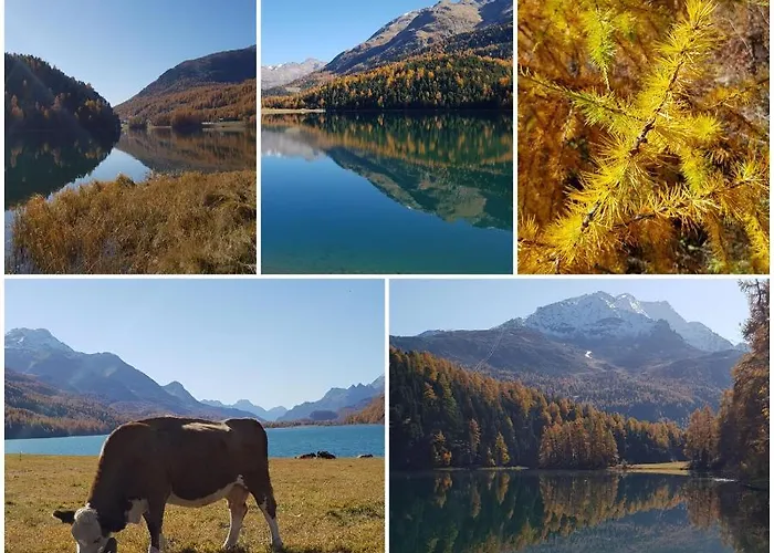 Lägenhet Chesa Madrisa *